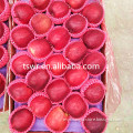 China Fresh Fruit Huaniu Apple